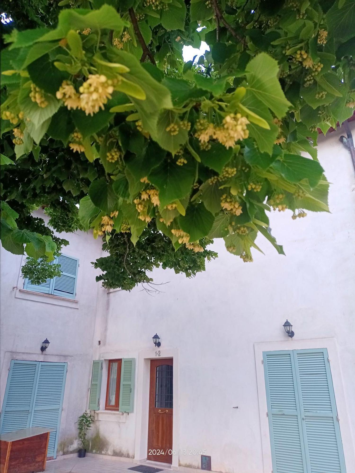 Agriturismo San Martino Foligno Exterior photo