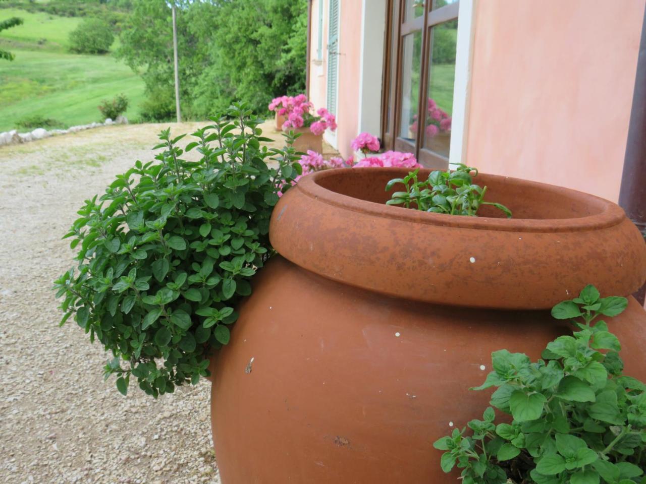 Agriturismo San Martino Foligno Exterior photo